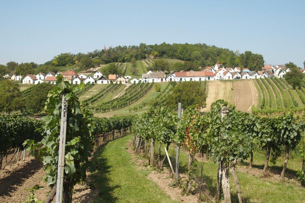 Gaestehaus Weinviertel - Niederoesterreich Siebenhirten Екстериор снимка